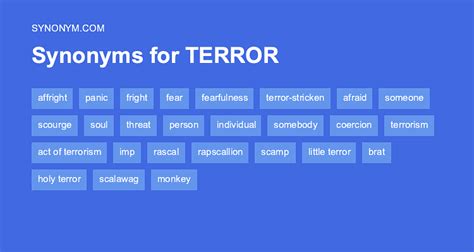 What are synonyms and antonyms for terror?