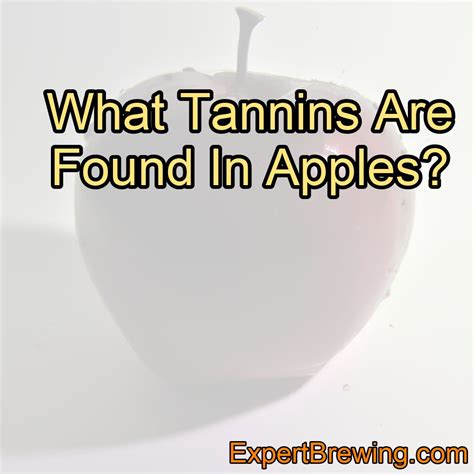 What are tannins in apples?