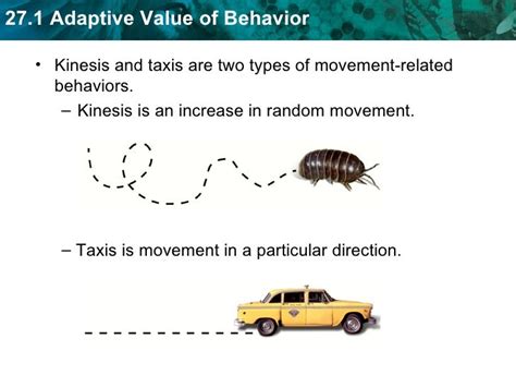 What are taxis behaviors?