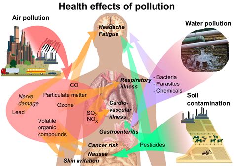 What are the 10 effects of pollution?