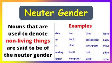 What are the 10 examples of neuter gender?