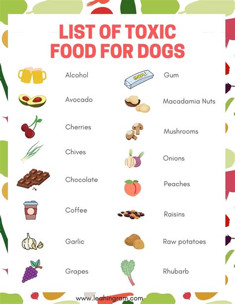 What are the 10 most toxic foods for dogs?