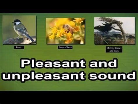 What are the 10 pleasant sounds?