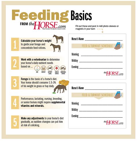 What are the 10 rules of feeding horses?