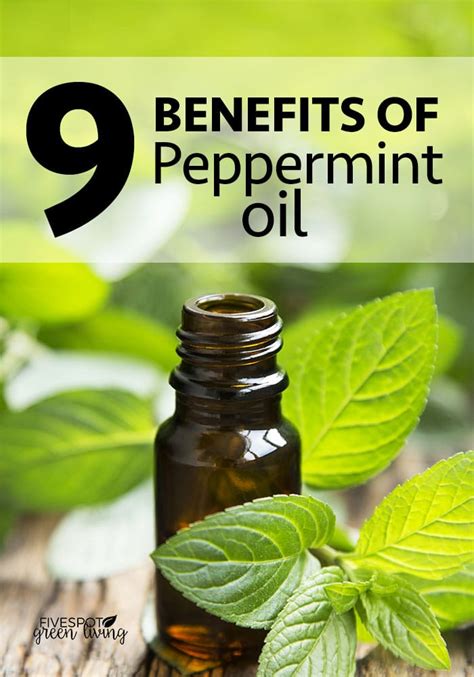 What are the 10 uses of peppermint?