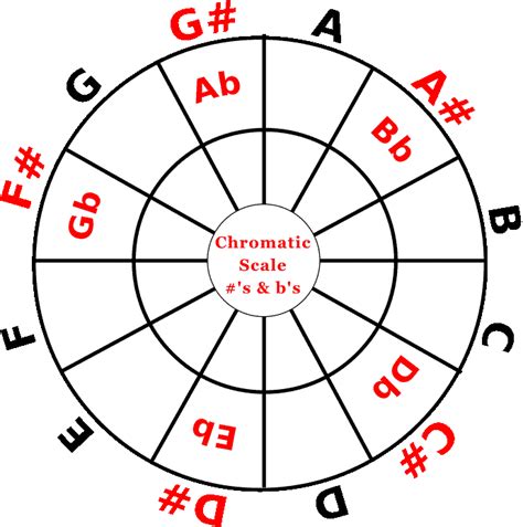 What are the 12 chromatic notes?