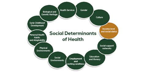 What are the 12 determinants of health Canada?