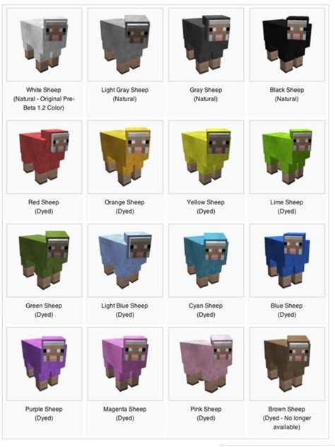 What are the 16 colors of wool in Minecraft?