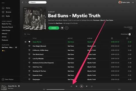 What are the 2 arrows on Spotify?