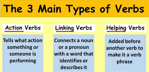 What are the 2 main types of verbs?
