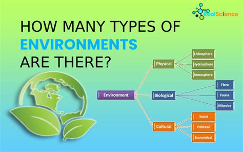 What are the 2 types of environment?