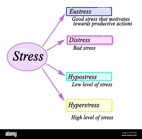 What are the 2 types of stress?