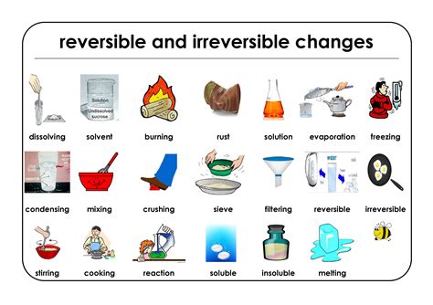 What are the 20 examples of irreversible change?