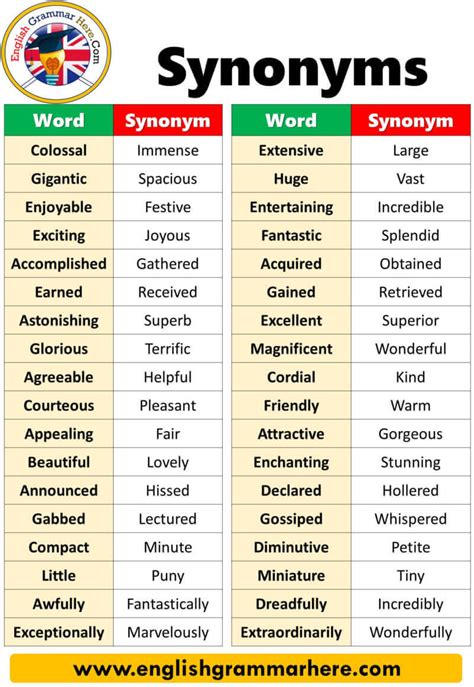 What are the 20 synonyms?