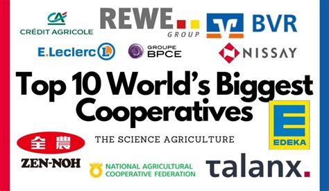 What are the 3 biggest cooperatives in the world?