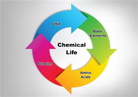 What are the 3 chemicals of life?