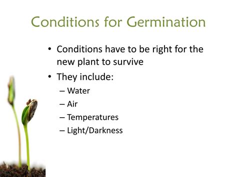 What are the 3 conditions necessary for germination?