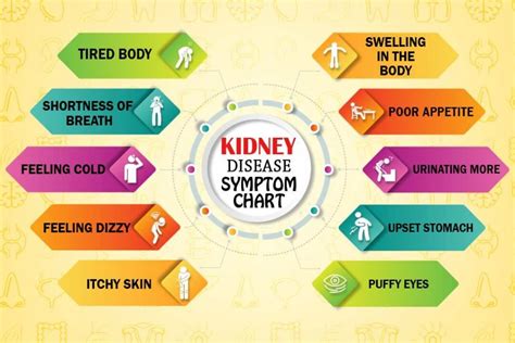 What are the 3 early warning signs of kidney?