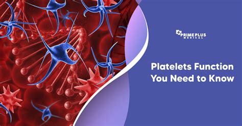 What are the 3 functions of platelets?