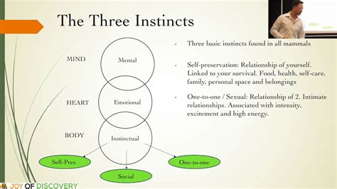 What are the 3 instincts?
