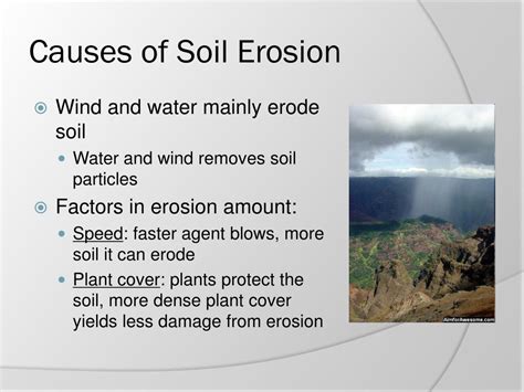 What are the 3 main causes of erosion?
