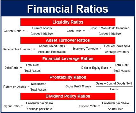 What are the 3 main financial ratios?