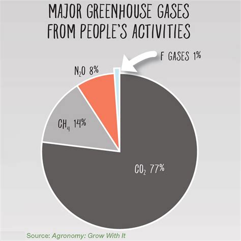 What are the 3 main types of gas?