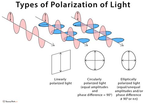 What are the 3 main types of polarisation?