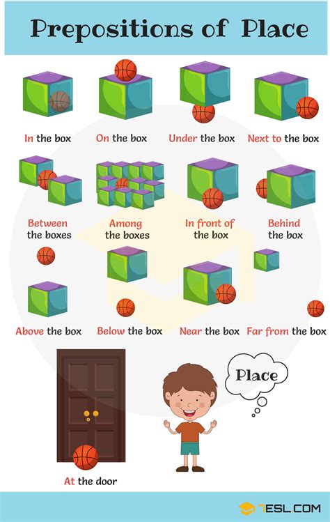 What are the 3 main types of prepositions?