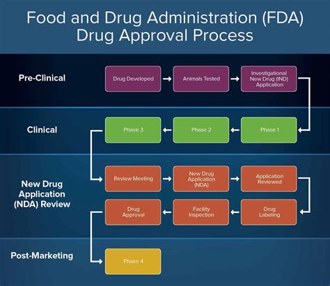 What are the 3 primary phases of FDA approval process?