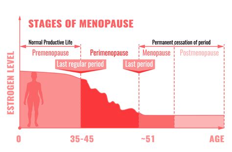 What are the 3 stages of menopause?