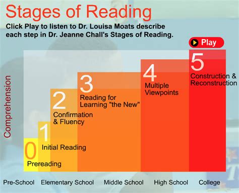 What are the 3 stages of the reading process?