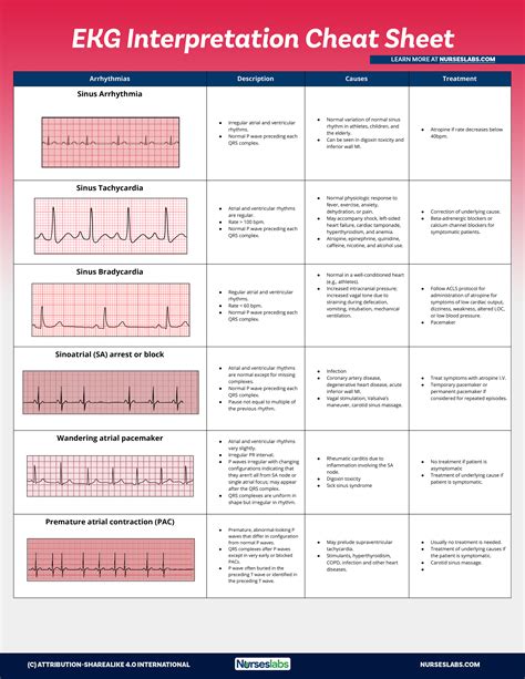 What are the 3 types of ECG?