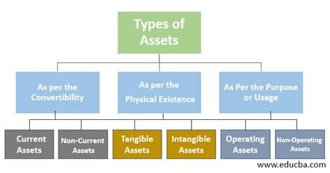 What are the 3 types of assets?