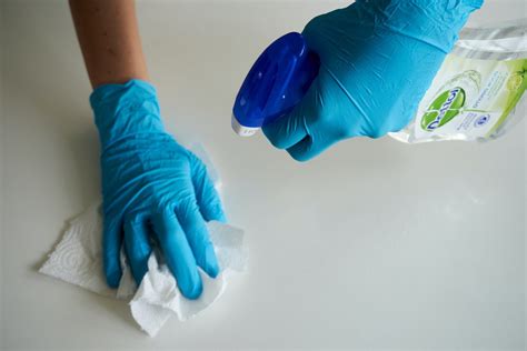 What are the 3 types of cleaning?