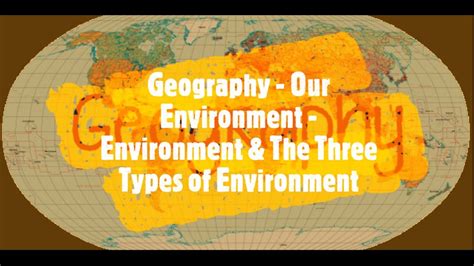 What are the 3 types of environment?