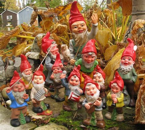 What are the 3 types of gnomes?