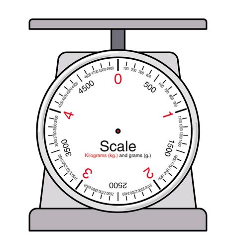 What are the 3 types of weighing scale?