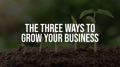 What are the 3 ways to grow your business?