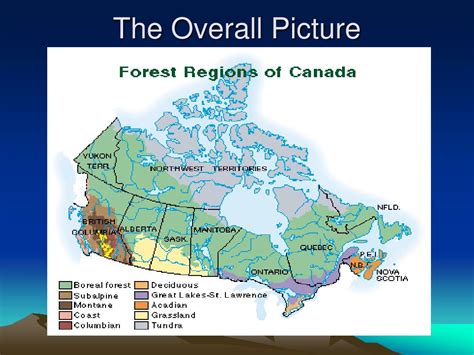 What are the 4 biomes in Canada?