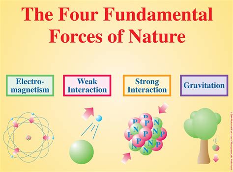 What are the 4 forces?