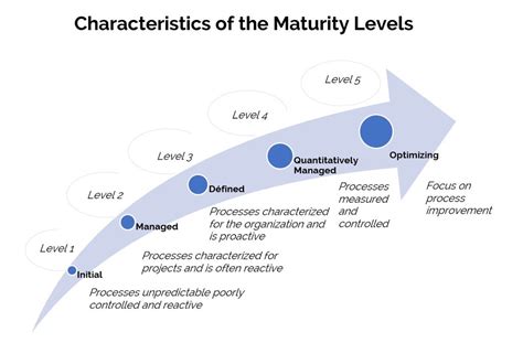 What are the 4 levels of maturity?