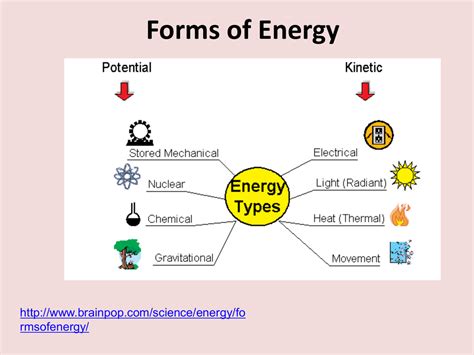 What are the 4 main forms of energy?