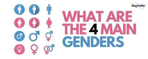What are the 4 main genders?