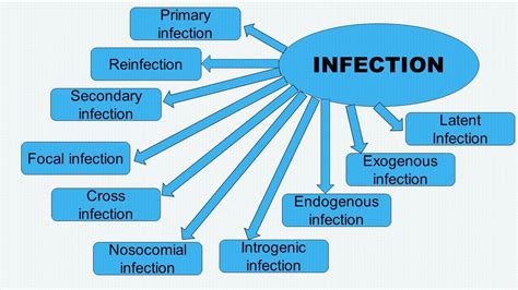 What are the 4 main types of infections?