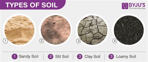 What are the 4 main types of soil?