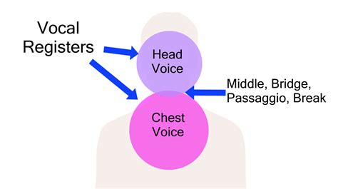 What are the 4 main voices?