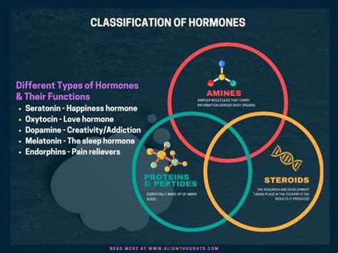 What are the 4 pleasure hormones?