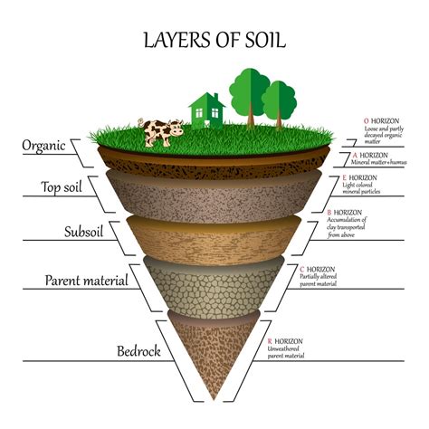 What are the 4 soil depths?