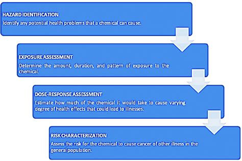 What are the 4 stages of assessment?